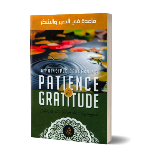 A Principle Concerning Patience & Gratitude | Daily Islam