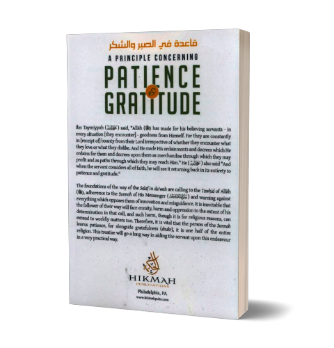 A Principle Concerning Patience & Gratitude | Daily Islam